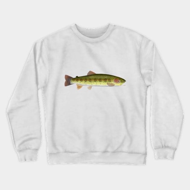 Redband Trout Crewneck Sweatshirt by FishFolkArt